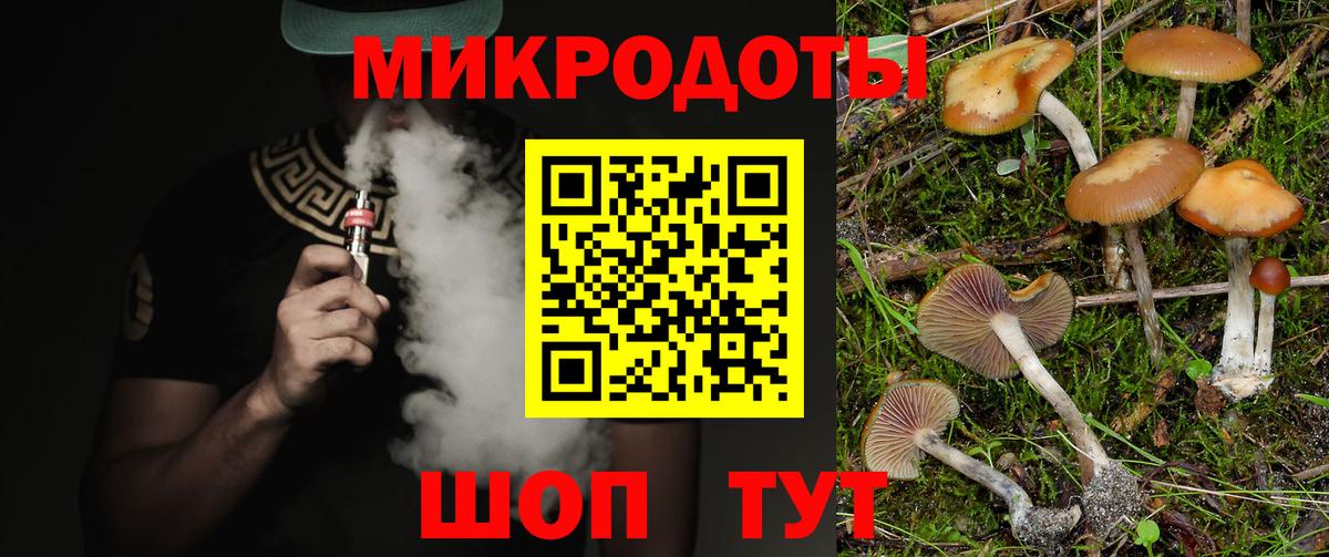 закладки  Вход с VPN  Георгиевск  Псилоцибиновые грибы ЛСД 